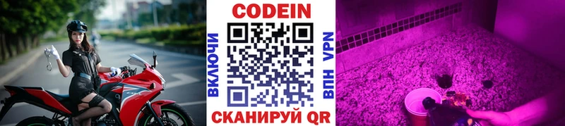 блэк спрут   Бодайбо  Кодеиновый сироп Lean Purple Drank 