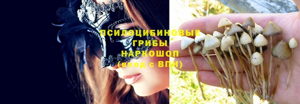 МДПВ Армянск