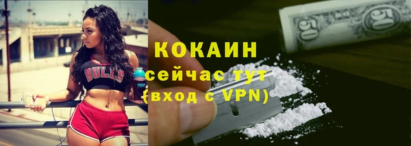 кокс Алексин