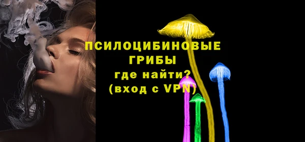 МДПВ Армянск