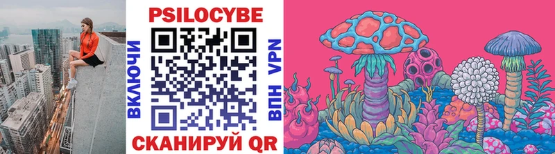 Псилоцибиновые грибы Psilocybe  Бодайбо 
